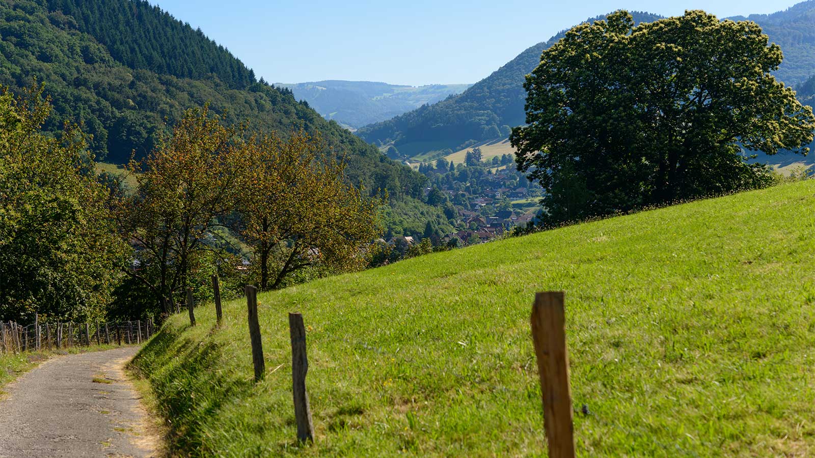 Münstertal im Schwarzwald