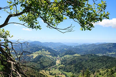 Herrliche Aussicht auf dem Belchen